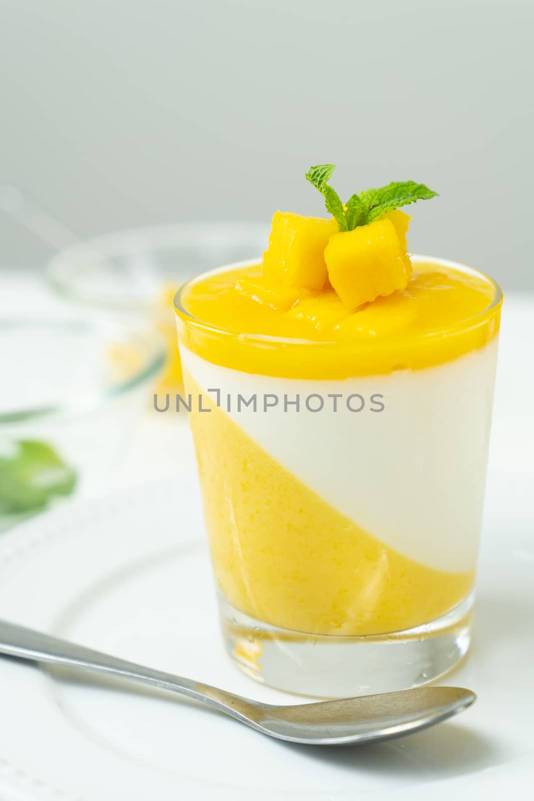 Italian dessert mango panna cotta decorated with fresh mango and mint