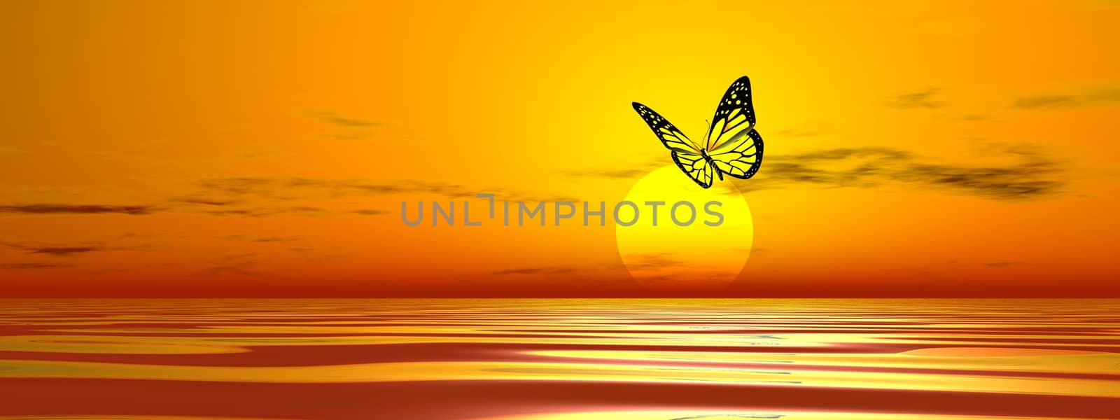 Butterfly flying upon the ocean to the sun by sunset- 3D render