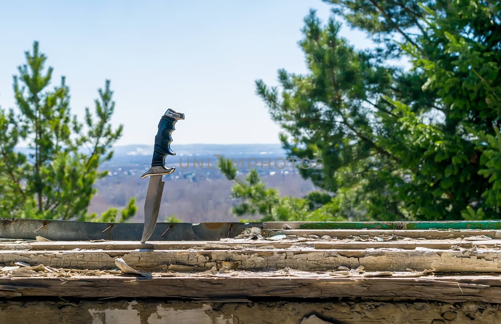 a terrible old combat knife stuck in the ruined window sill of an abandoned house on the background of green leaves of a coniferous tree and outline the village outside the window