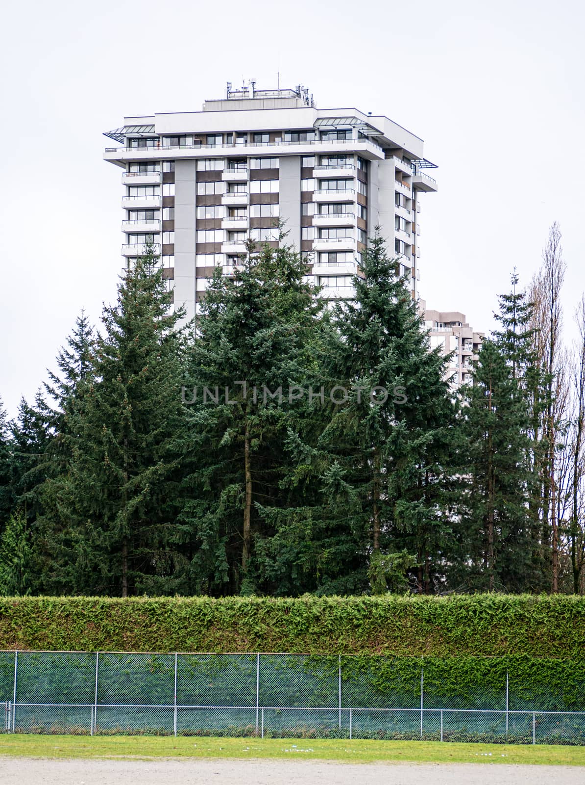 High-rise residential building behind fir trees on white sky background. Apartment building with trees and hedge in front