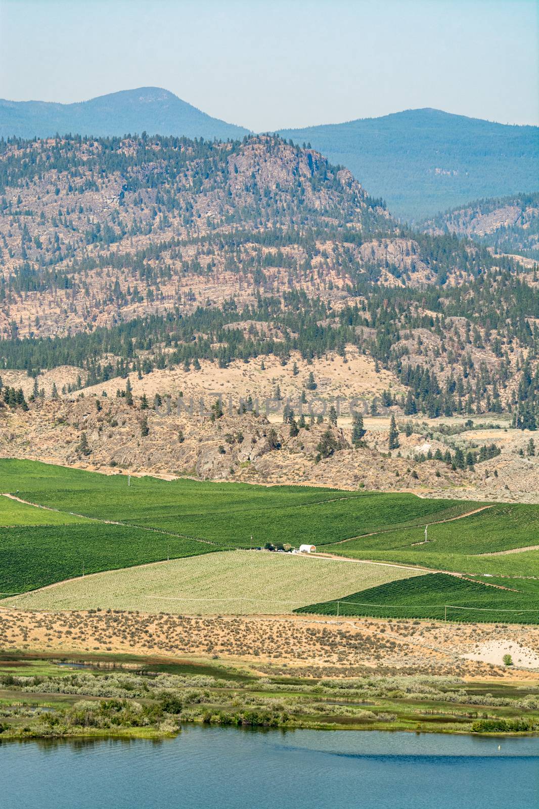 Okanagan valley view with farm land area and orchard fields on mountains and sky background
