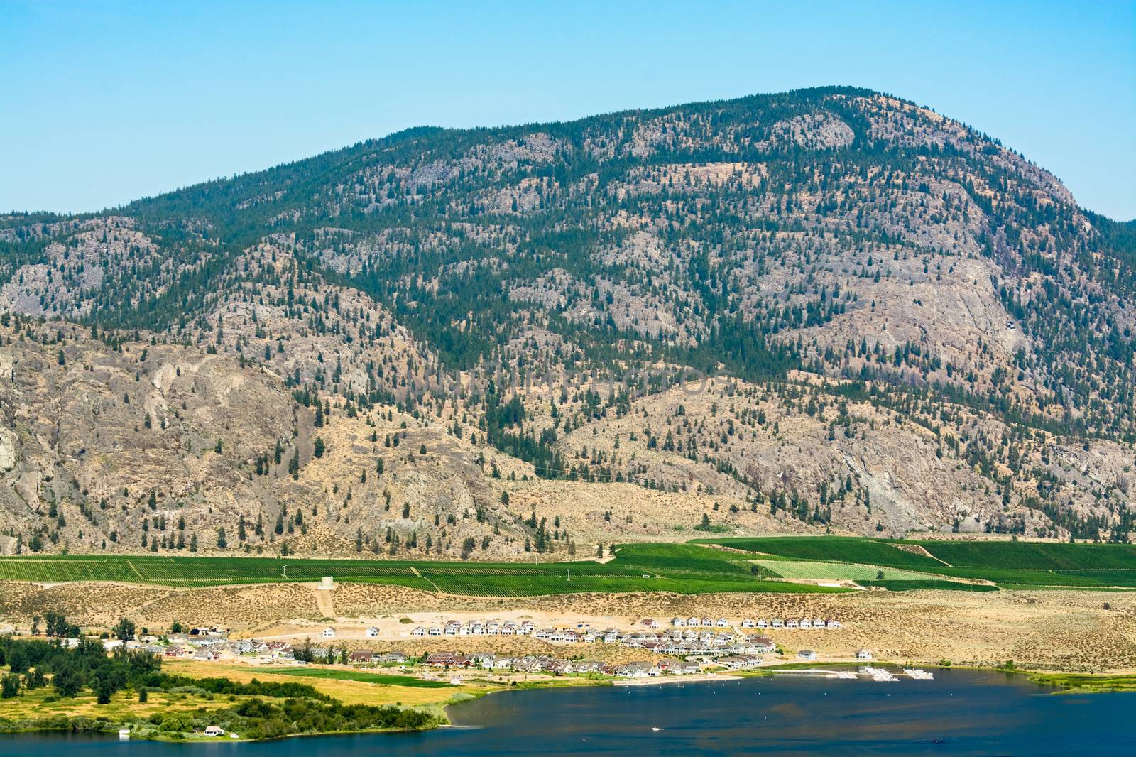 Okanagan valley view with residential area and orchard farm fields. Residential houses in Okanagan valley built on Osoyoos lake shore with mountains on the back side
