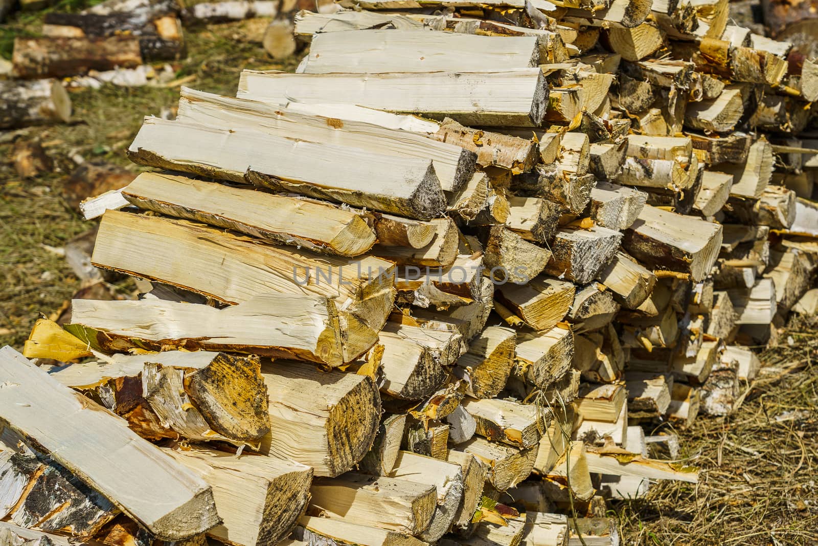 birch logs lie in a pile on the green grass, sunny day