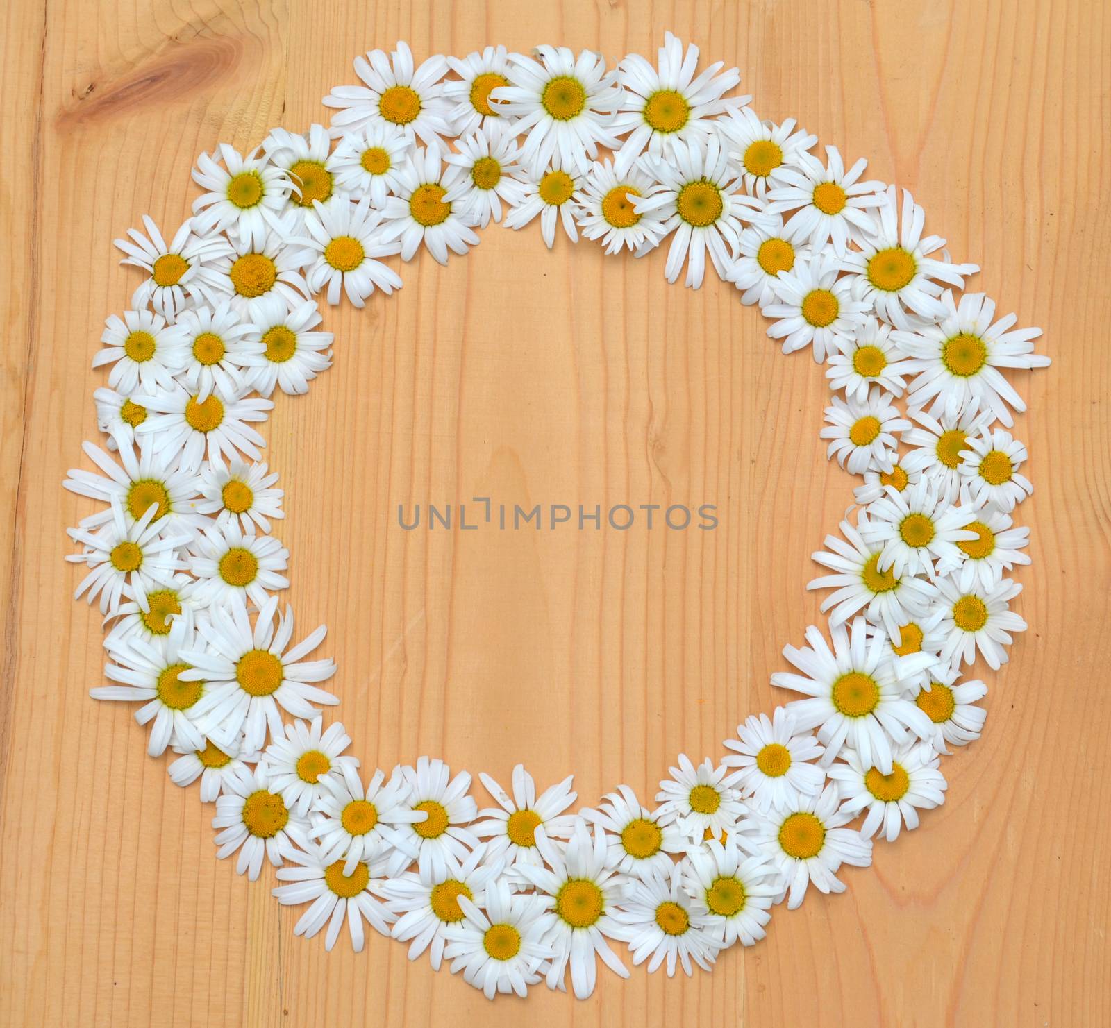 Daisy crown on a wooden background