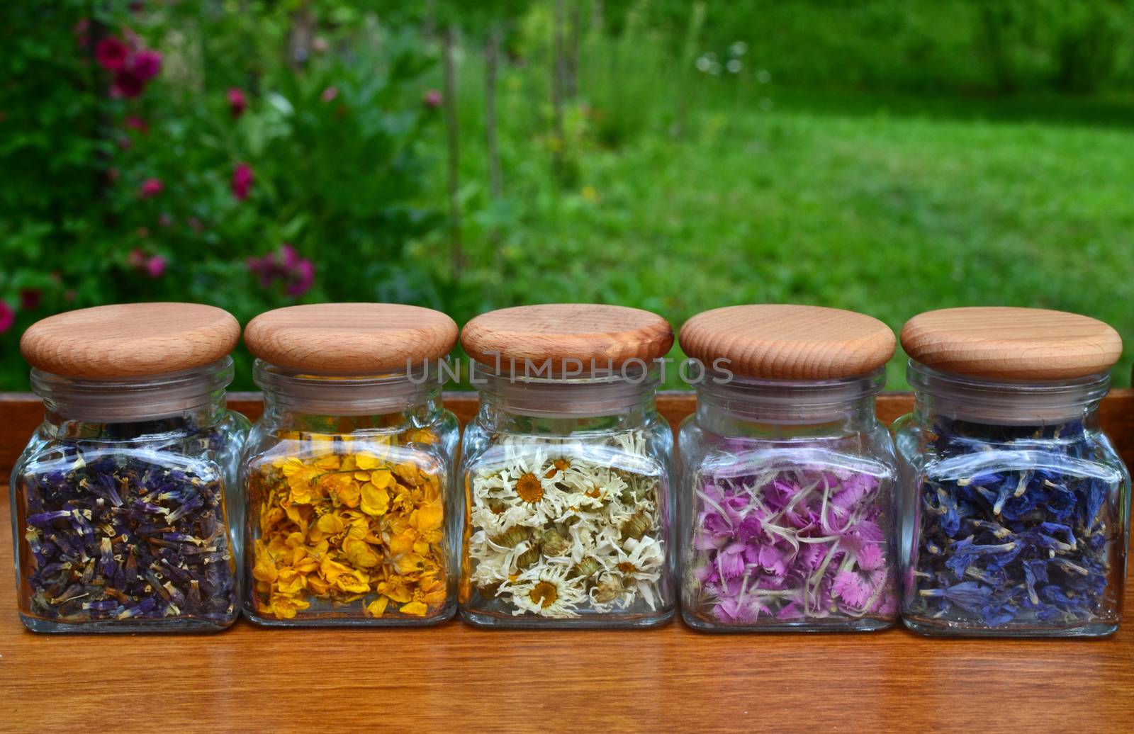 Collection of small transparent jars with colored flowers by hibrida13