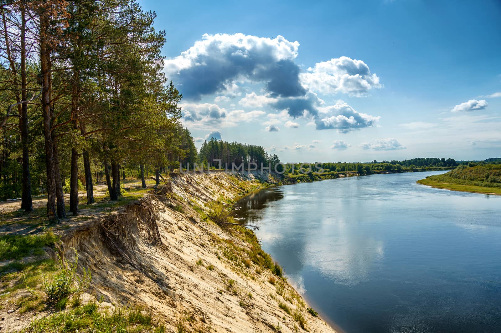 High steep river bank covered with forest and a view of the river and the horizon  by VADIM