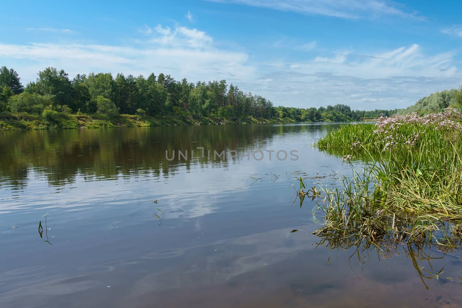 view of the river among the shores covered with forest and shrubs  by VADIM