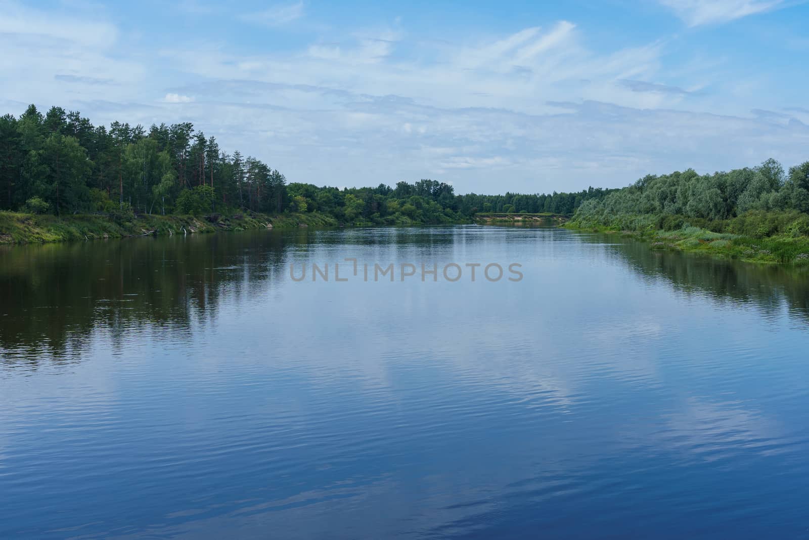 view of the river among the shores covered with forest and shrubs on a sunny summer day