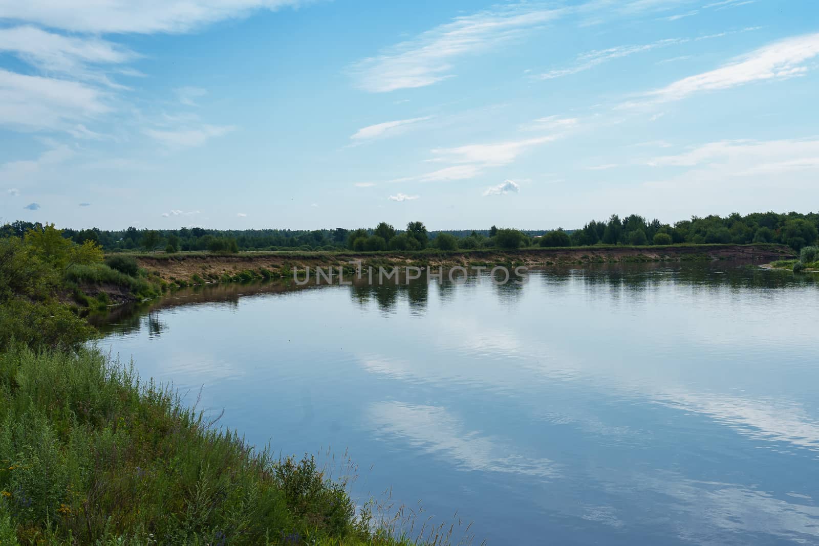 view of the river among the shores covered with forest and shrubs on a sunny summer day