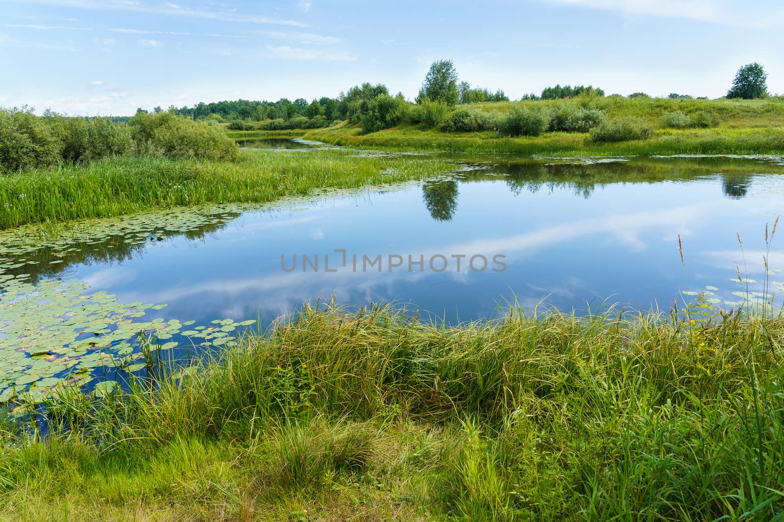 view of the river among the shores covered with forest and shrubs on a sunny summer day