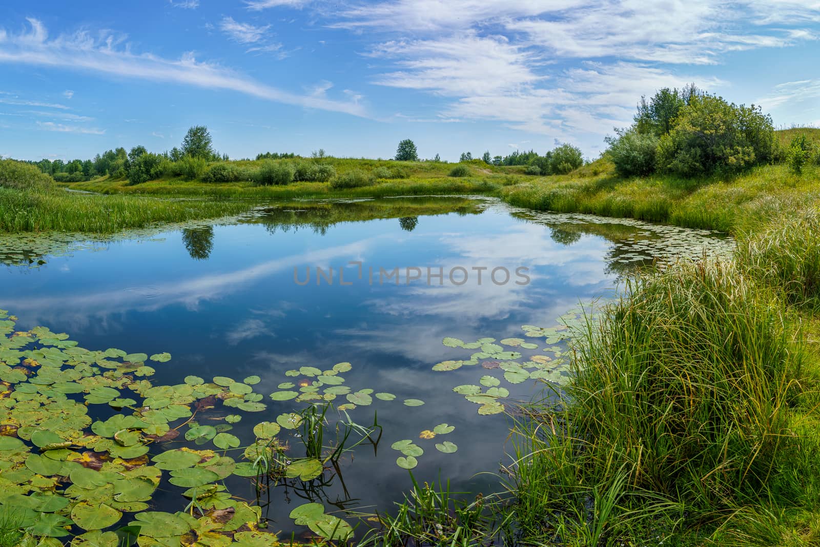 view of the river among the shores covered with forest and shrubs on a sunny summer day