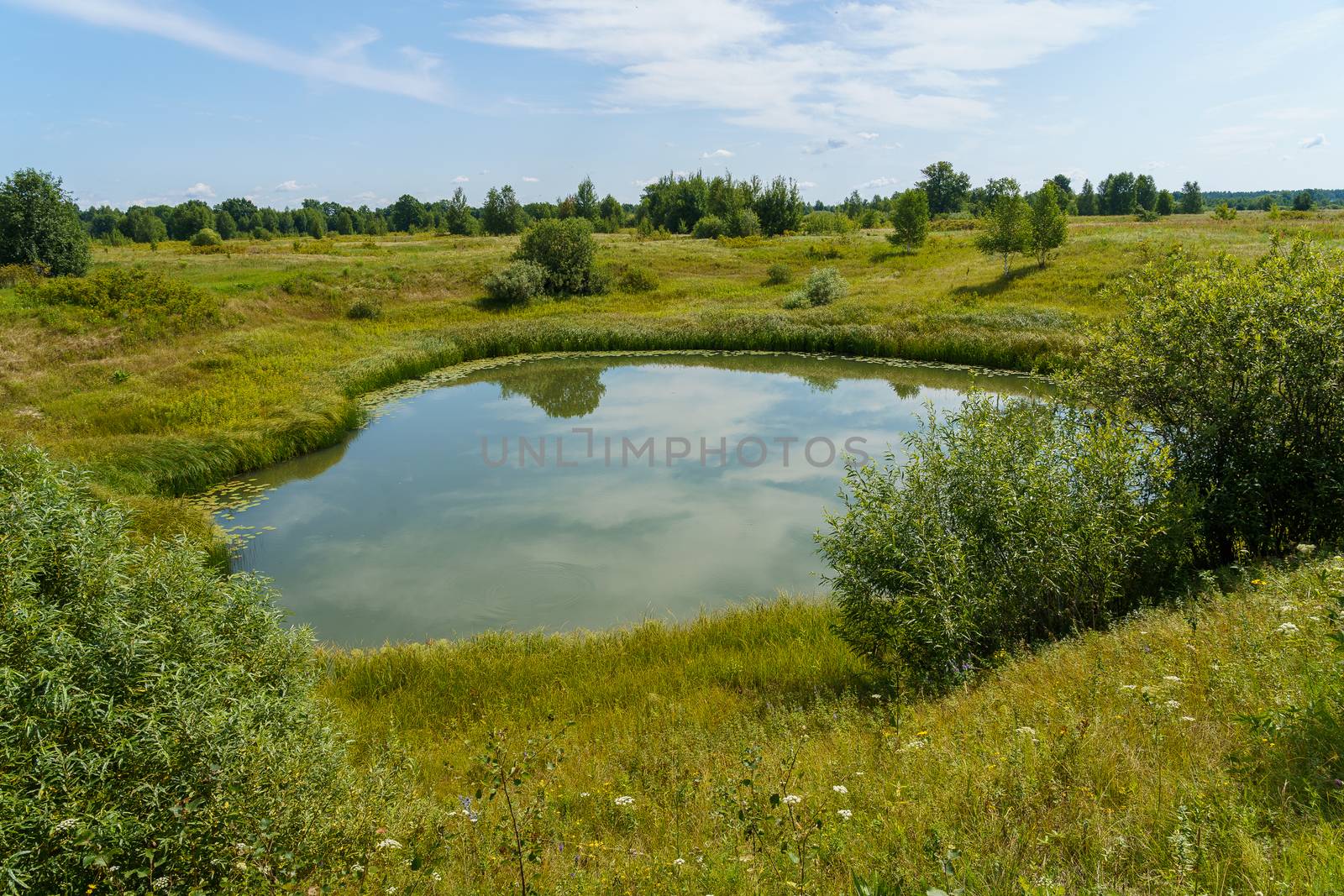 A small round lake among floodplain meadows and forests