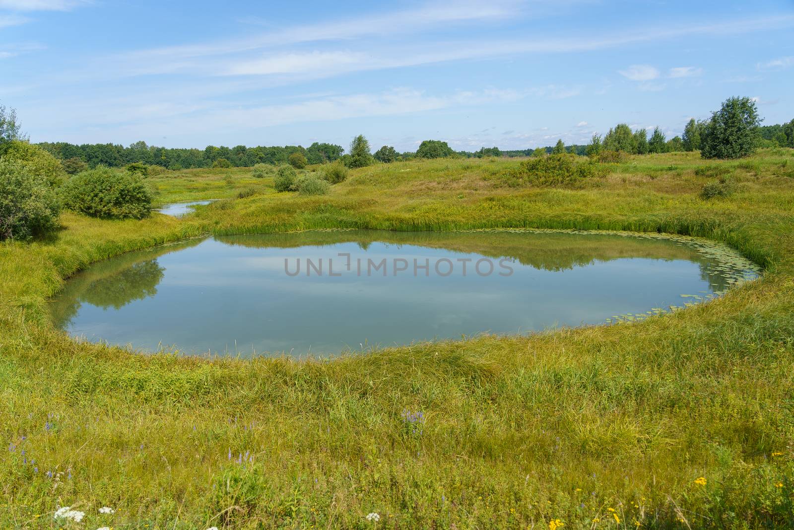 A small round lake among floodplain meadows and forests