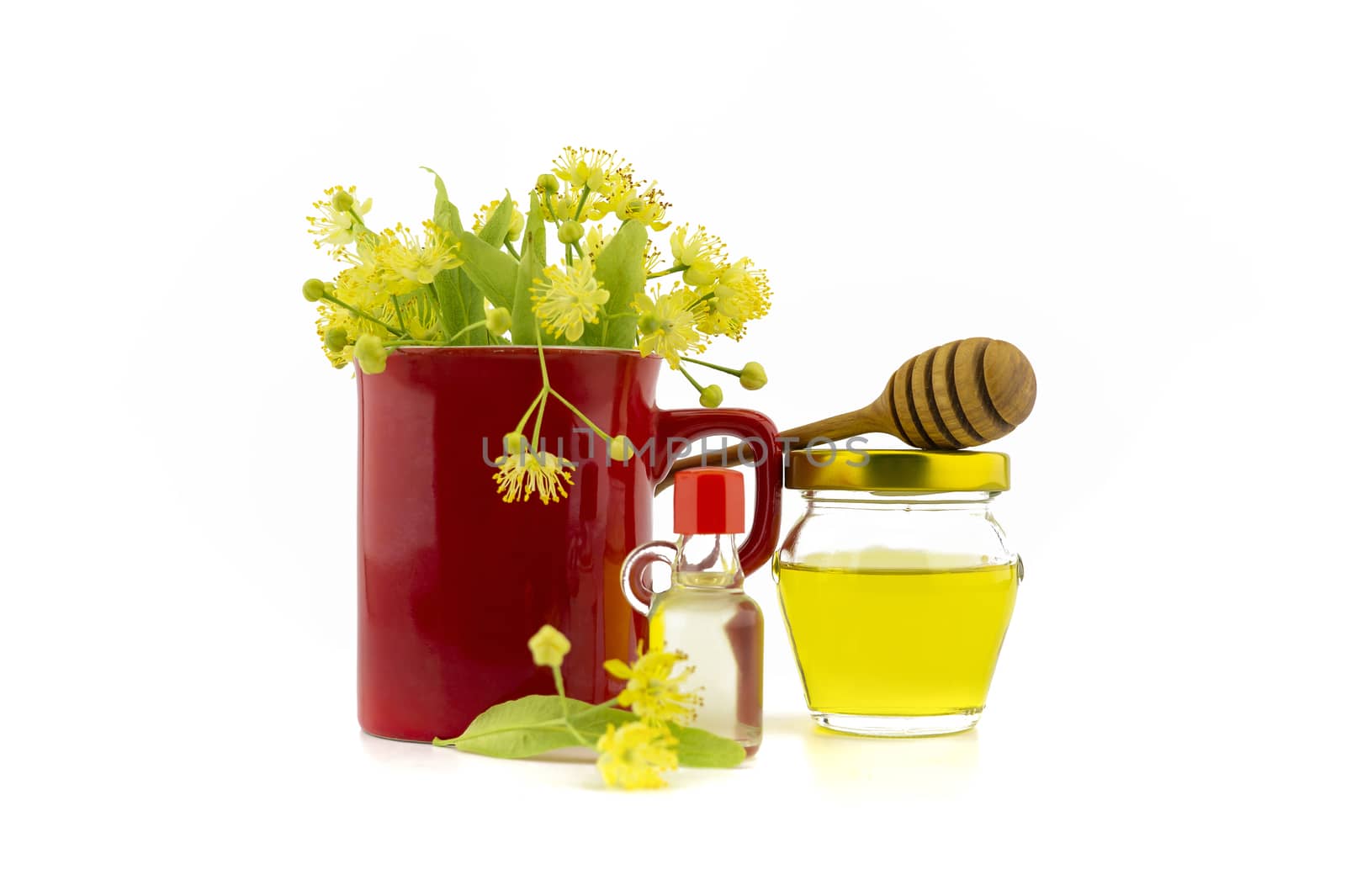 Fresh Linden or Tilia flowers and leaves in a red cup near wooden wand leaning on a glass jar of honey on white background, alternative healing concept