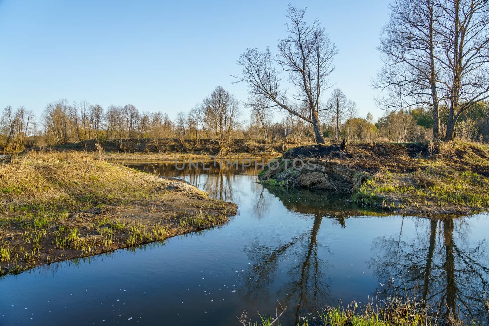 creek in the spring evening, trees without leaves on the shore