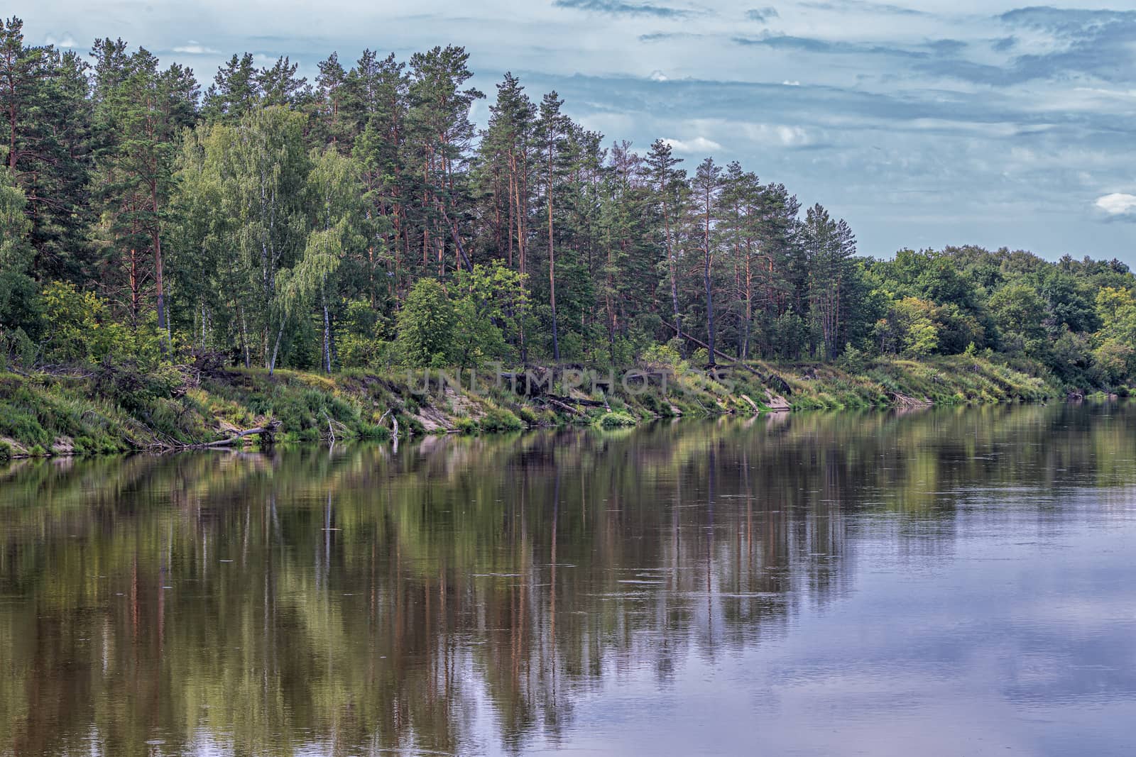 calm plain river among the banks covered with forest under a cloudy sky