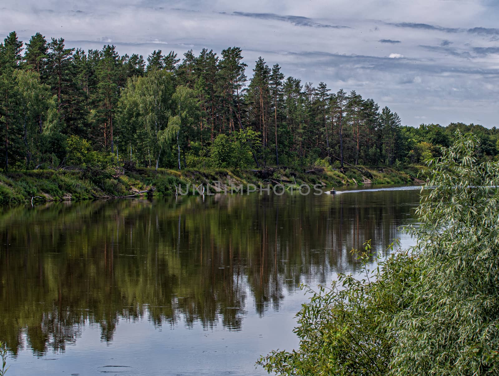 calm plain river among the banks covered with forest under a cloudy sky