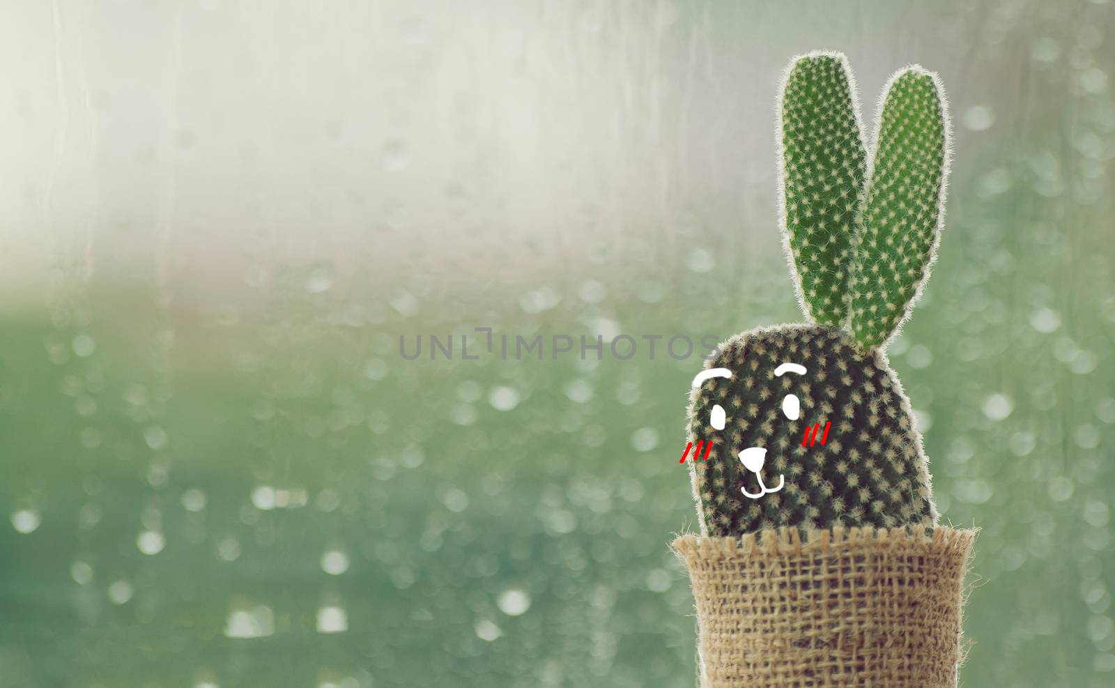 cactus with cute face cartoon on a rainy day with water drop at window background. drops of rain on window glass background.