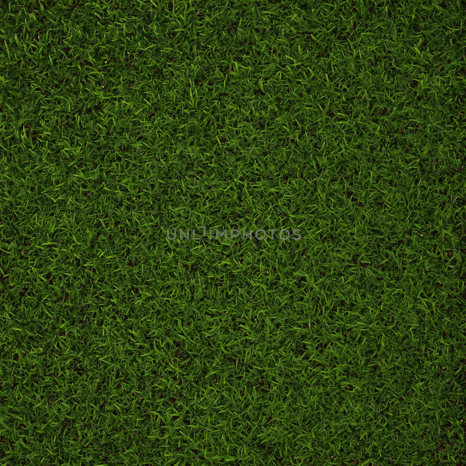 Perfect Grass in  3D