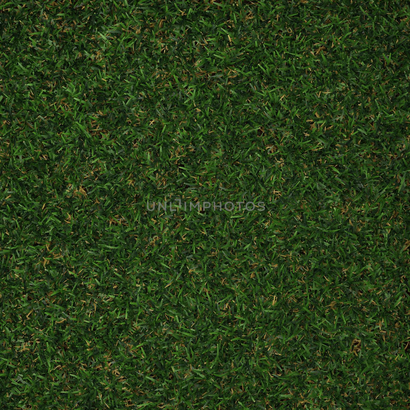 Green grass by vitanovski