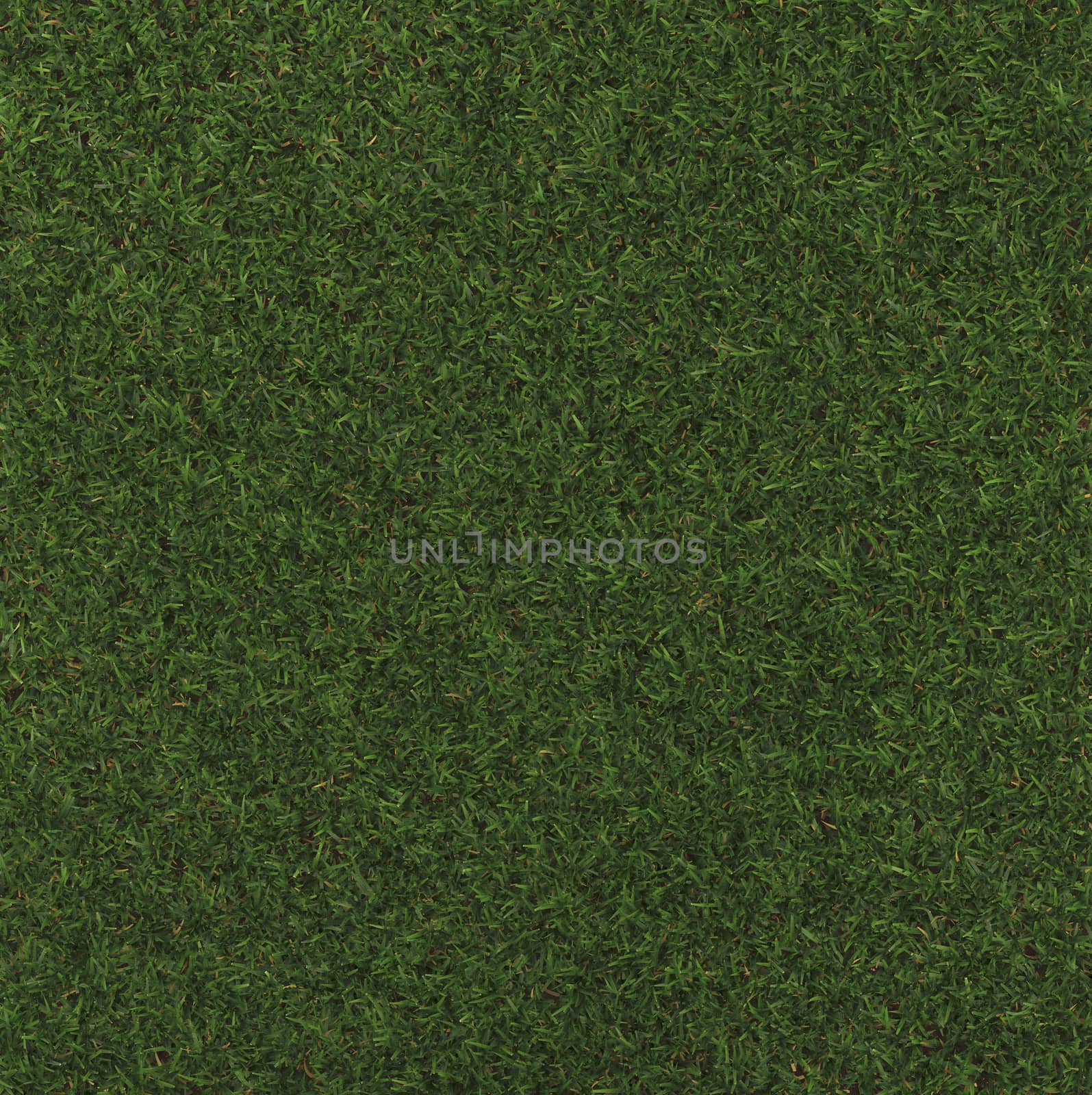 Perfect Grass in made in 3d software