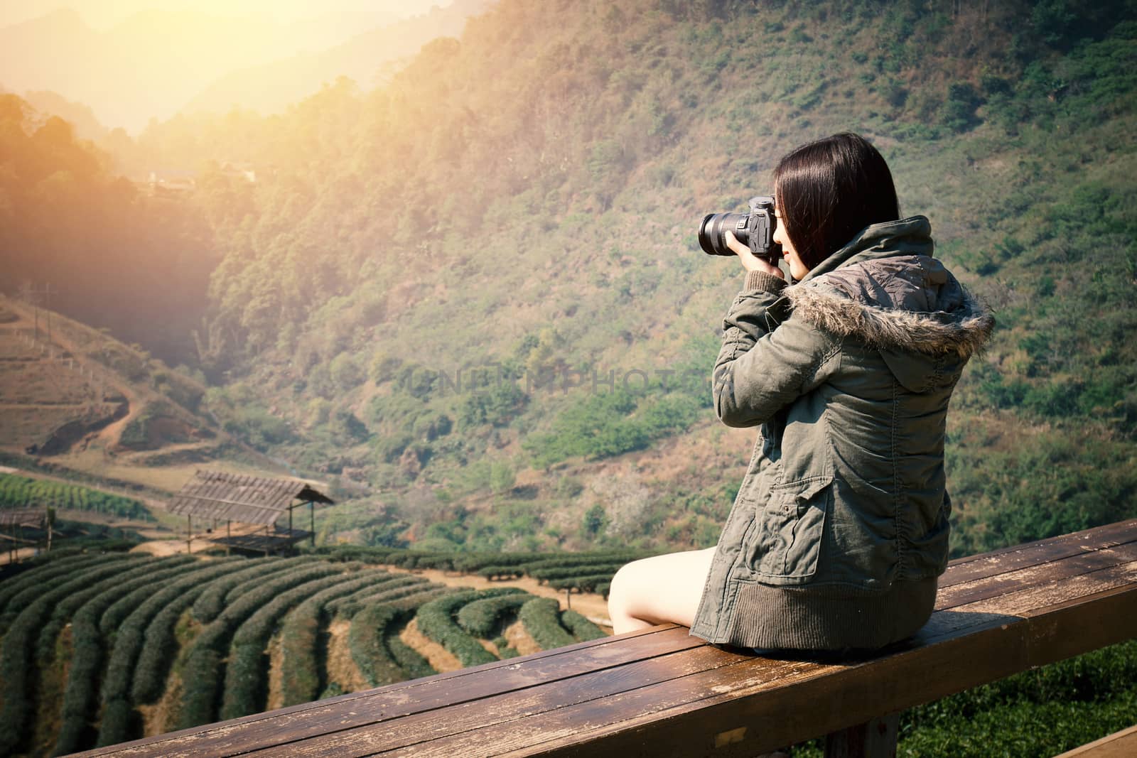 Young beautiful Asian tourist carry a digital camera to take a photo of tea plantation field in the morning at Chiang Mai , north of Thailand. Warm tone effect by asiandelight