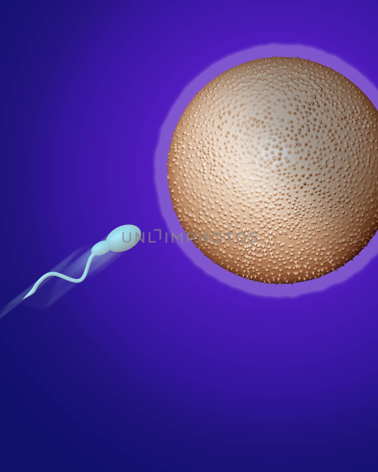sperm heading towards egg made in 3d software