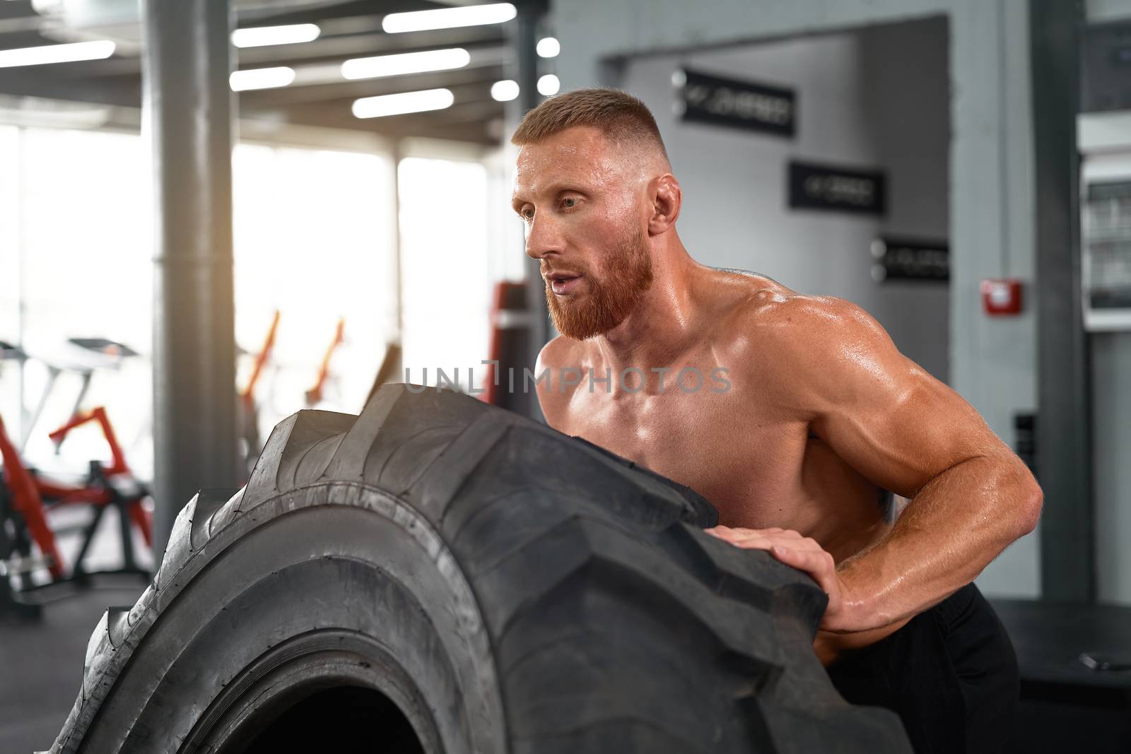 Athlete sportive man lift wheel gym cross training push big tire Middle adult handsome sportsman bodybuilder weightlifter ideal body by andreonegin