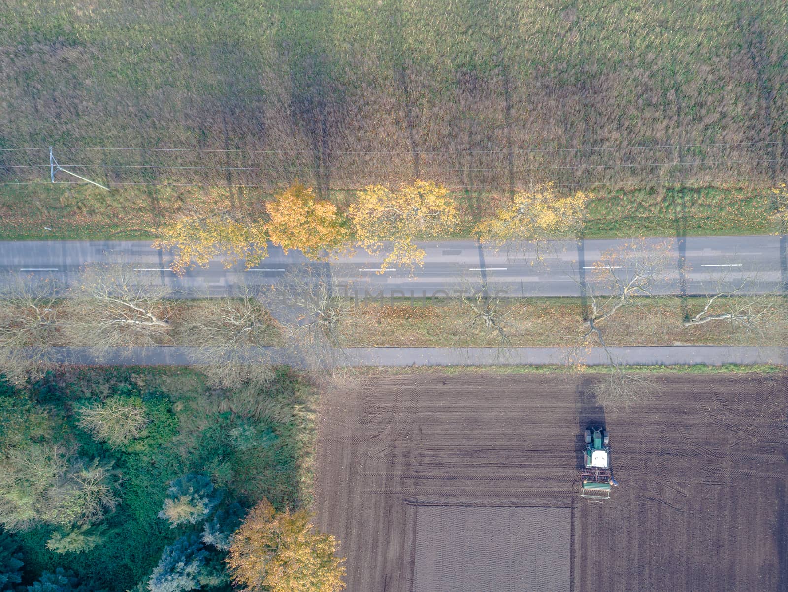 Aerial photograph with drone, field with ploughing farmer in autumn on a country road, trees with long shadows and colorful leaves