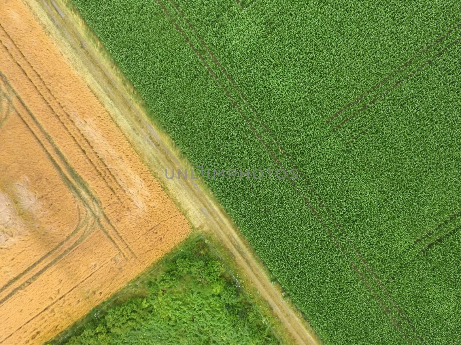 Abstract aerial photograph of fields and weeds with green and yellow areas Rectangles and triangles, made by drone 