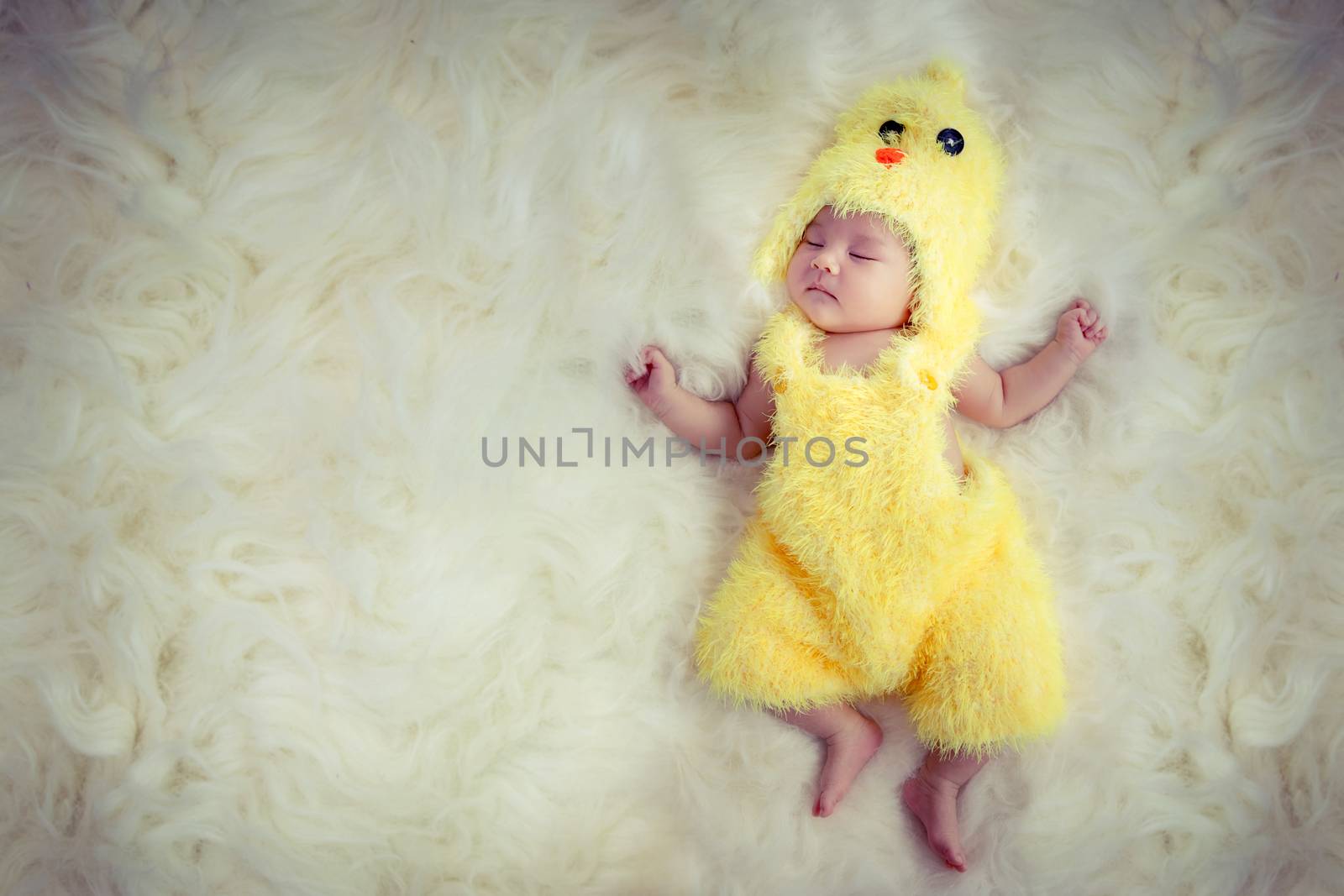 newborn baby portrait. Happy sleeping lovely cute Asian baby wearing yellow chicken dress suite for Asia Chinese sign zodiac year sleep on furry soft fabric with sweet daydream. Copy space for text. by asiandelight