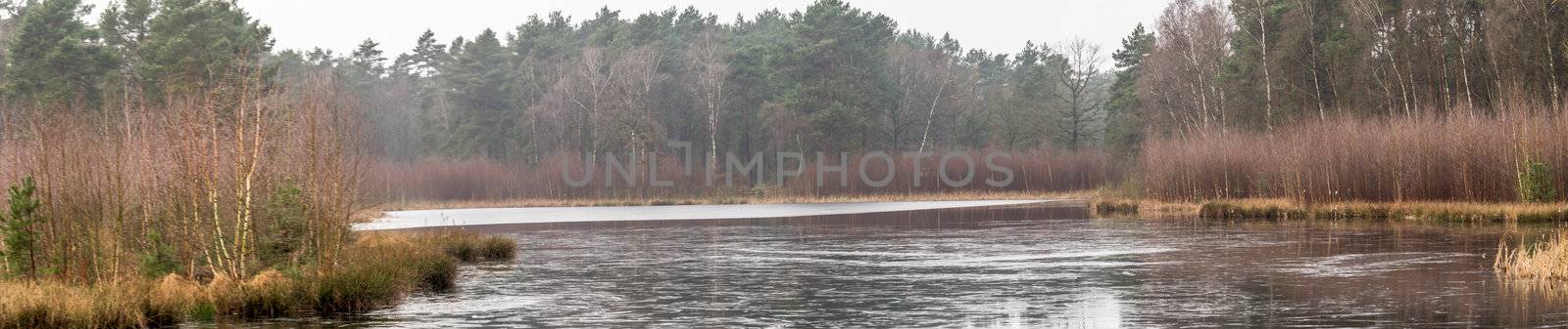 Panorama from the shore of a pond covered with ice, with trees and bushes in the background, a lot of space and width as header for a website, stitched