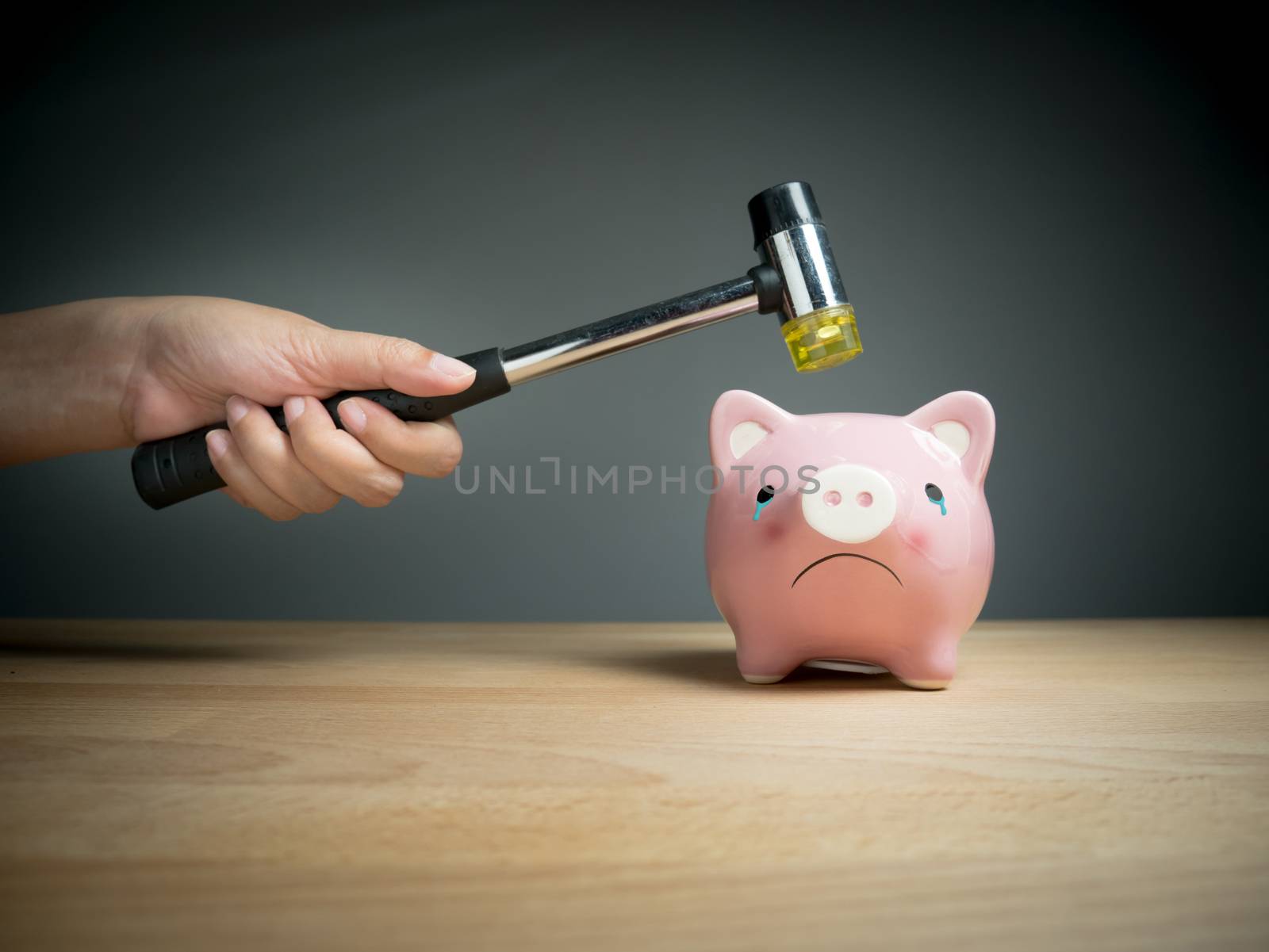 Piggy bank, savings, investments ,currency concept : A hand holding a hammer which is raised above a pink sad piggy bank, with a shocked and apprehensive facial expression.