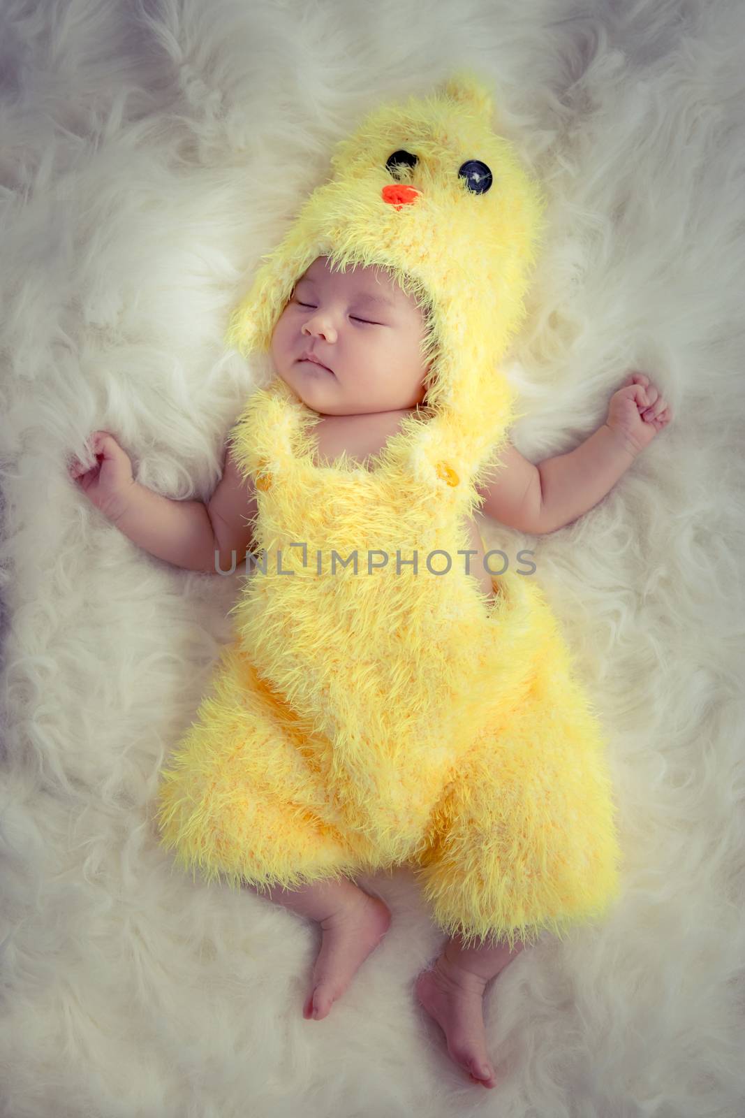 Baby portrait  :Happy sleeping Asian baby wearing yellow rooster for Chinese sign of zodiac year dress suit sleep on furry soft fabric with sweet daydream. Portrait of first month Asia baby model. by asiandelight