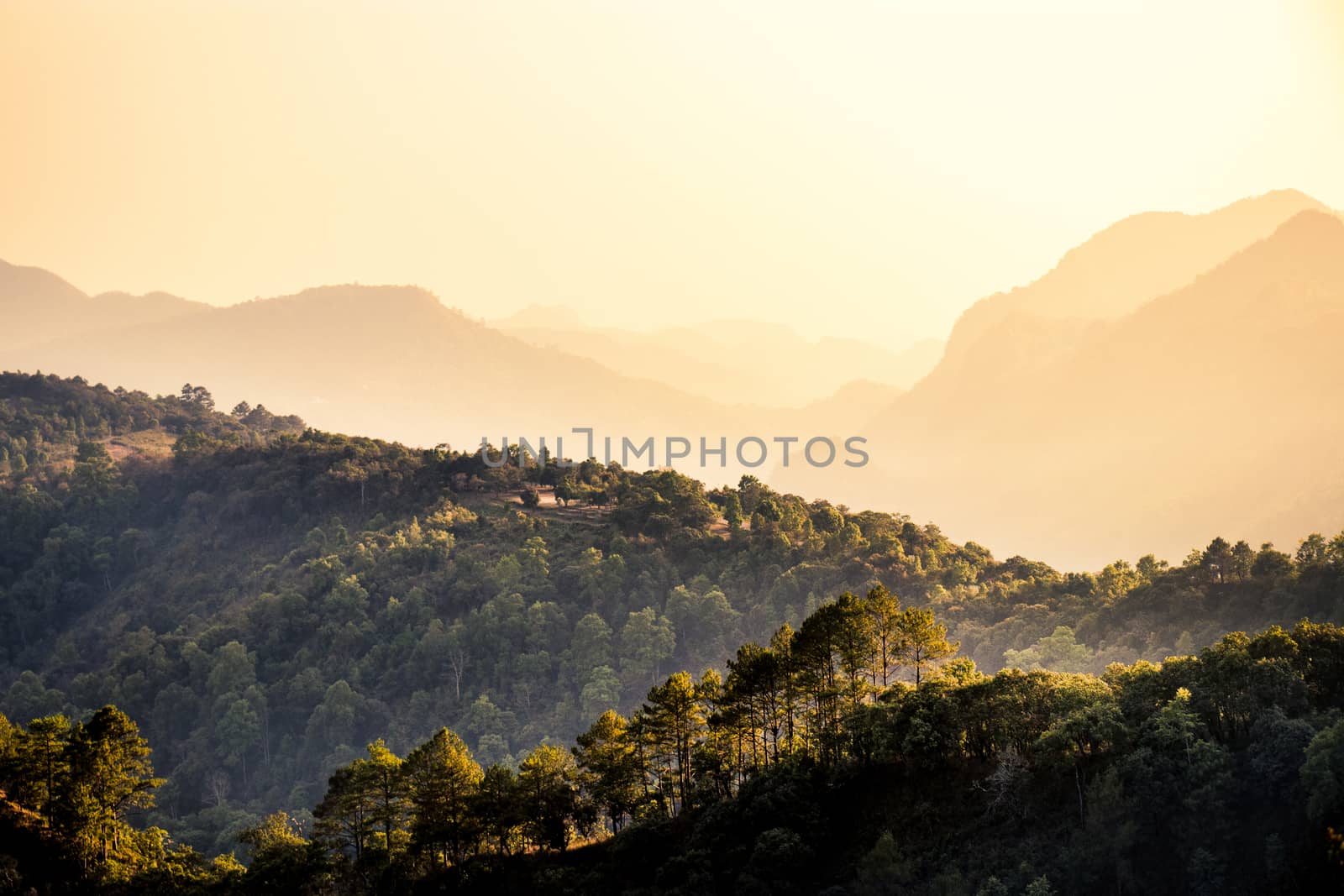 Nature travel concept: Misty summer for layer of tree and mountain hills with mist landscape with orange light in the morning time.