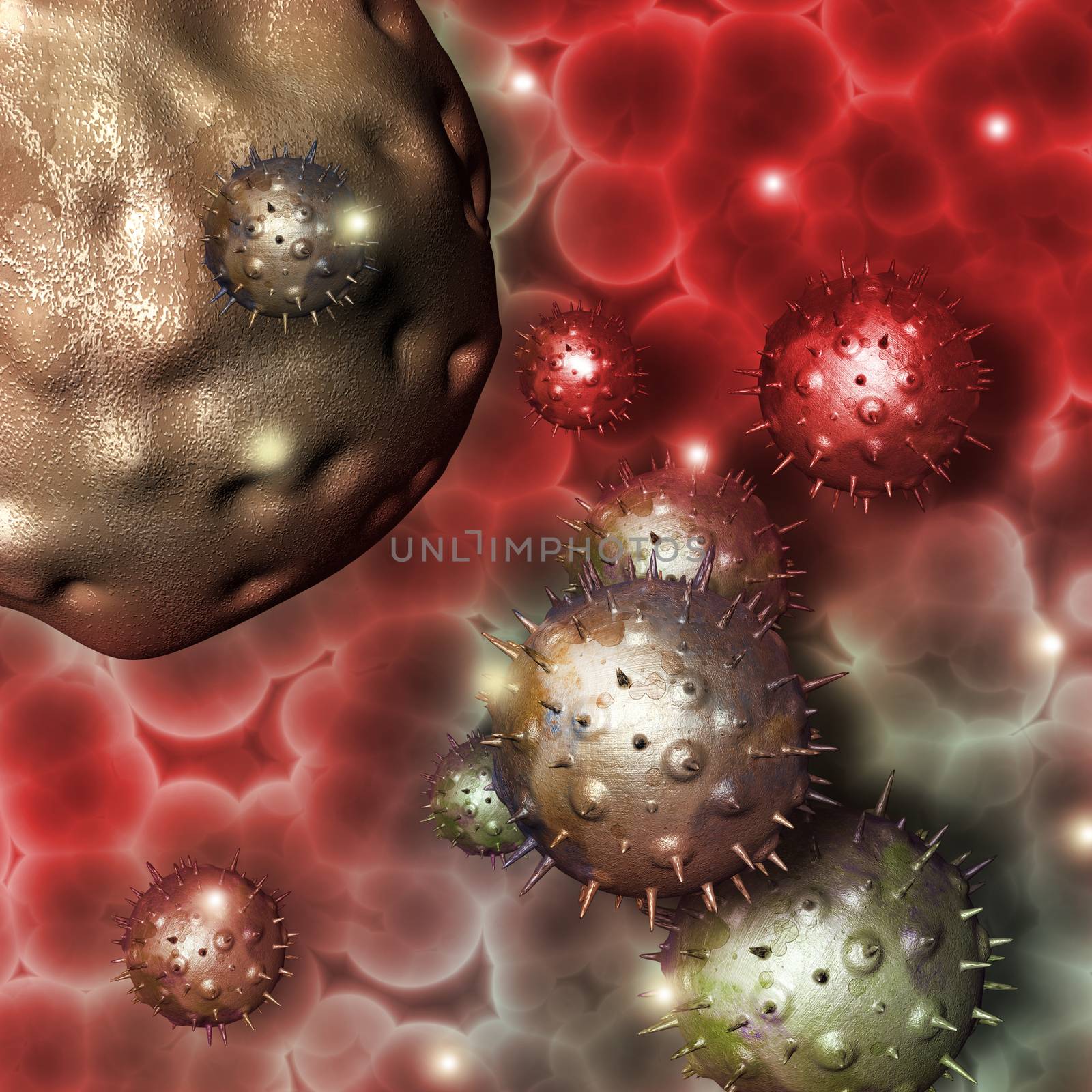 cancer cell by vitanovski