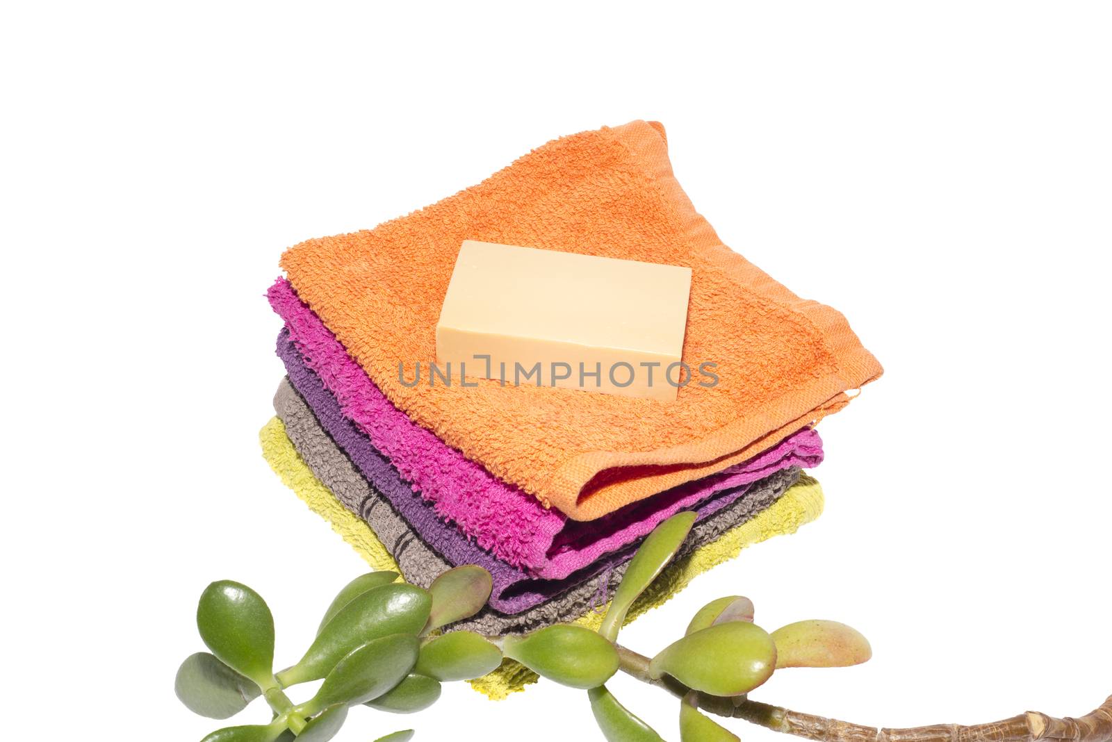 green money plant and soap on top of facecloths by morrbyte