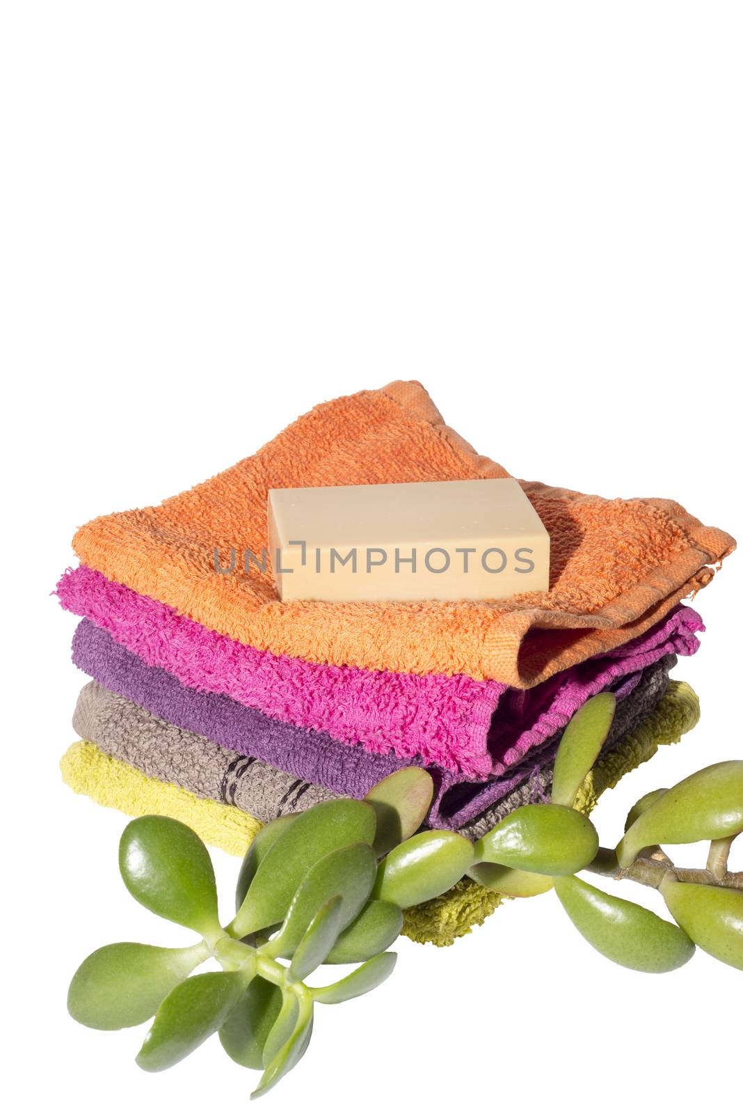 green plant and soap on top of facecloths by morrbyte