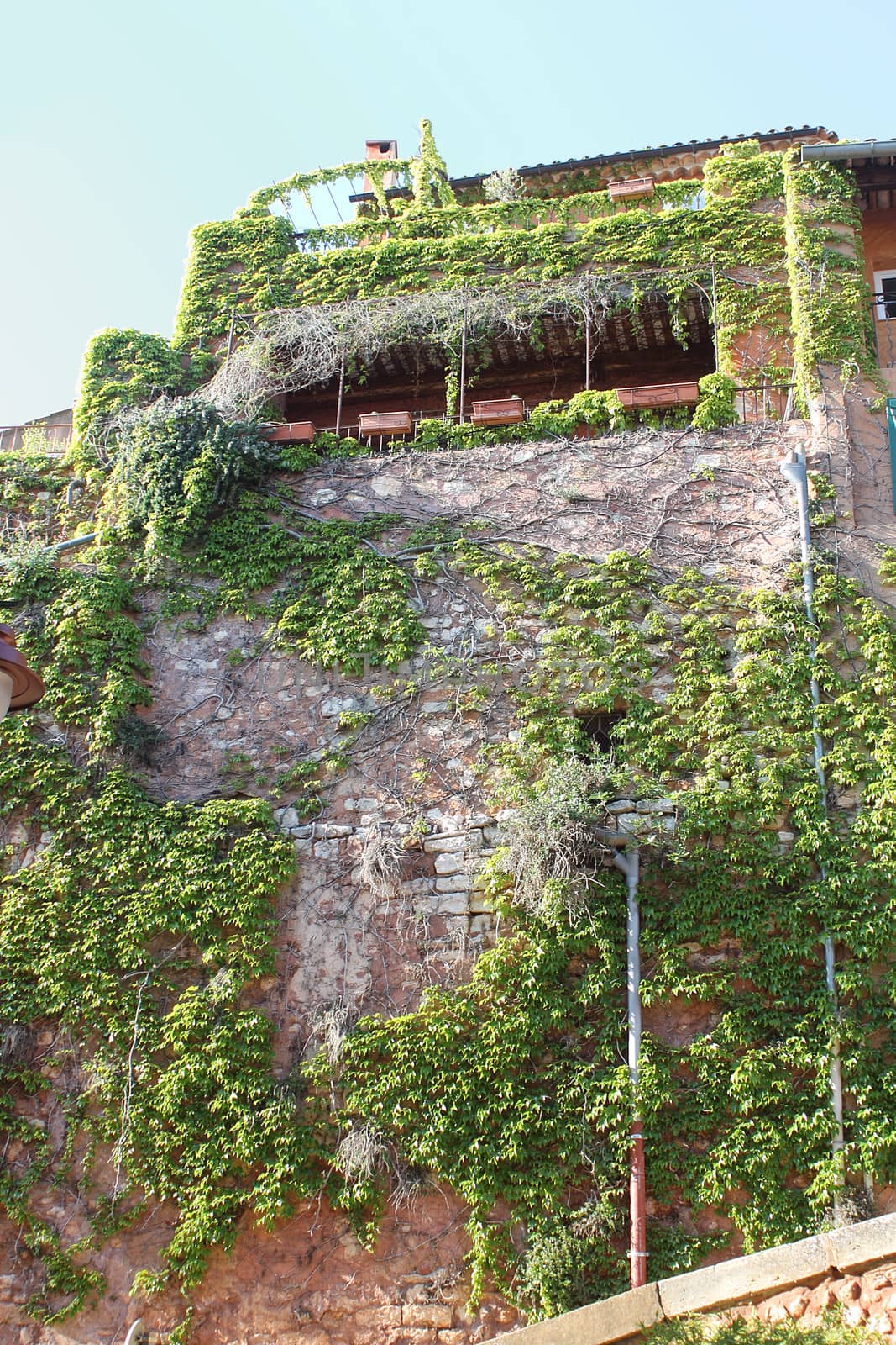 Roussillon, Provence, France- wall with ivy