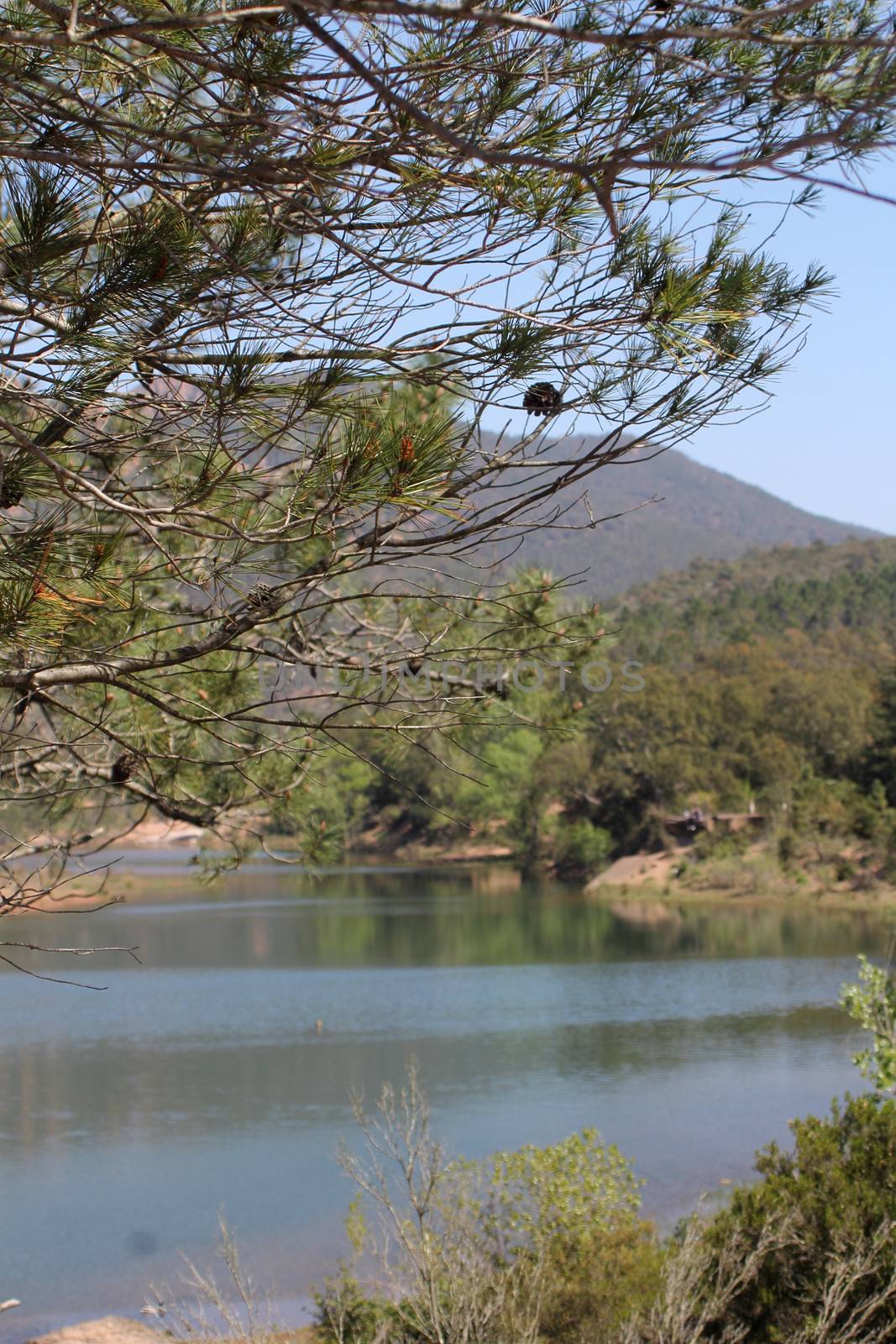 Pond near Esterel Massif - French Riviera