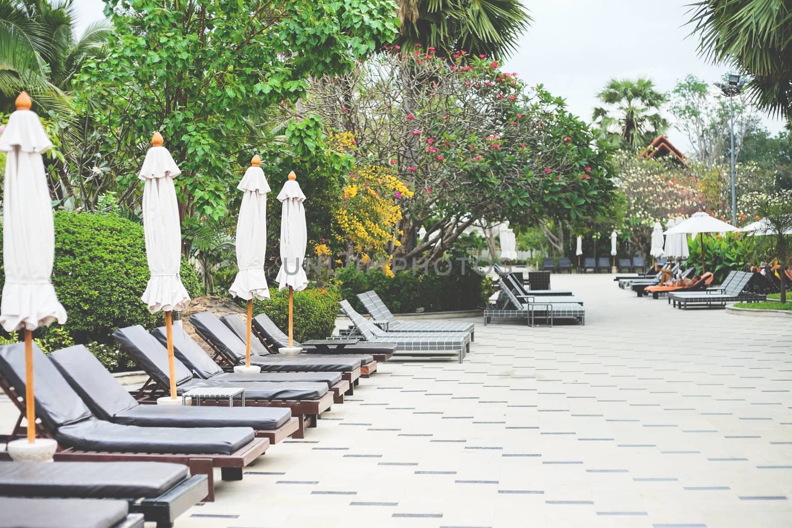 Deckchairs in the resort garden at pattaya, Chonburi, Thailand.