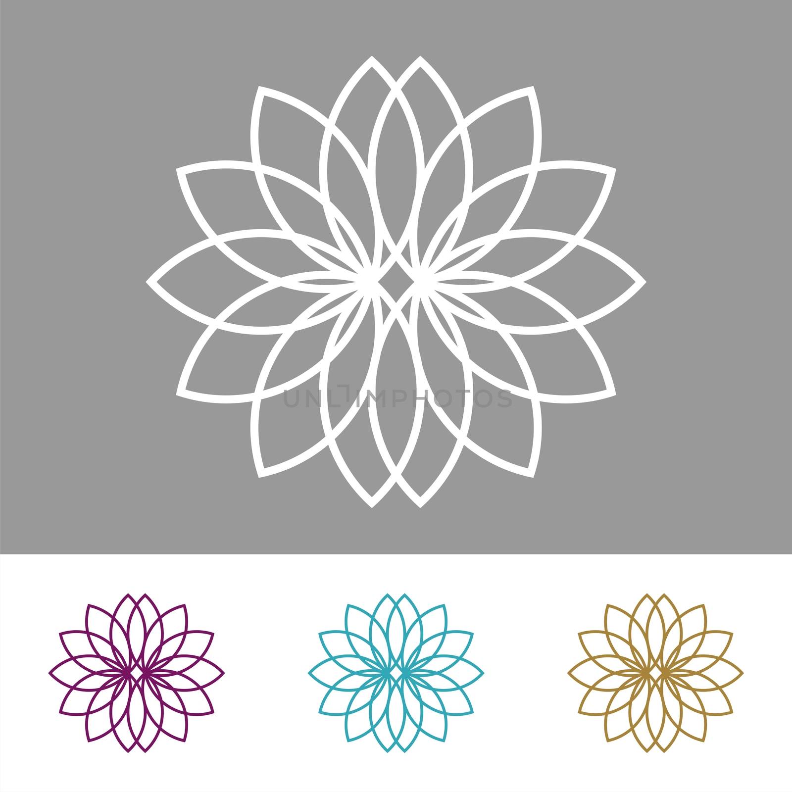 Set Ornamental Flower vector Template Illustration Design. Vector EPS 10.