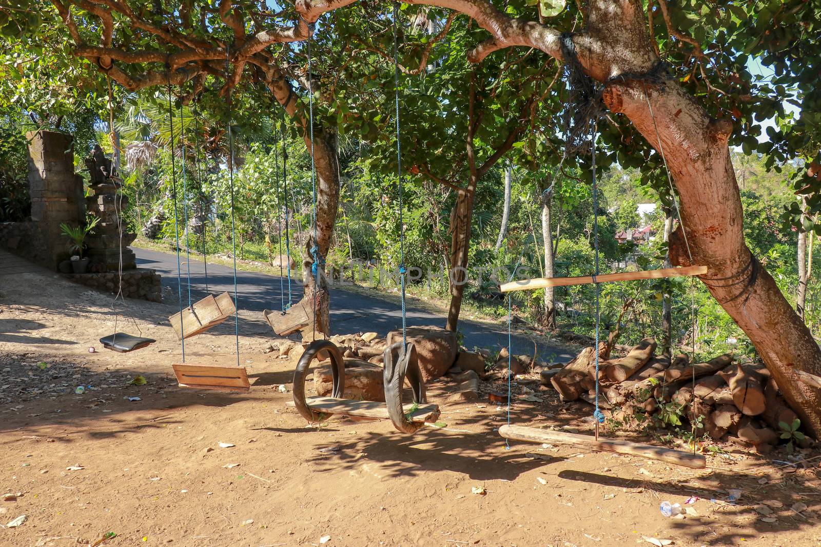 Swings for children hanging on tropical trees. Inexpensive fun for Balinese kids. Swings made of ropes, old tires, branches, sticks and planks. Tropical vegetation and azure sky.