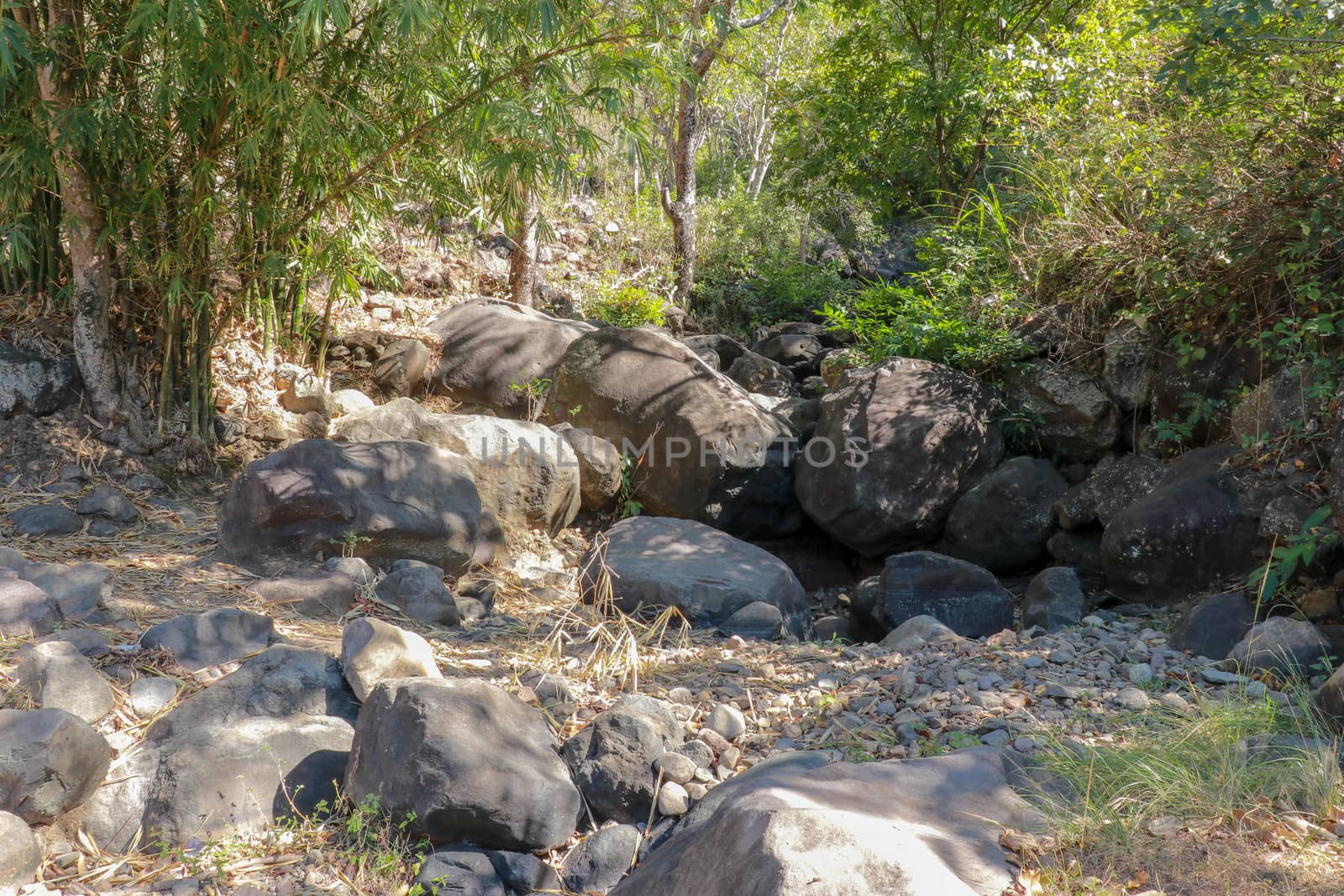 A rubber slippers and boulders isolated on a drying river at the background. Environment concepts.