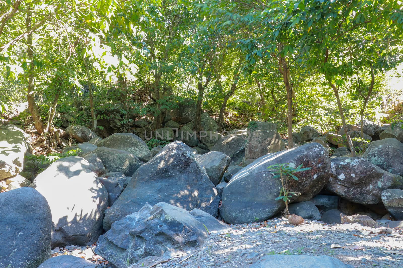 A rubber slippers and boulders isolated on a drying river at the background. Environment concepts.