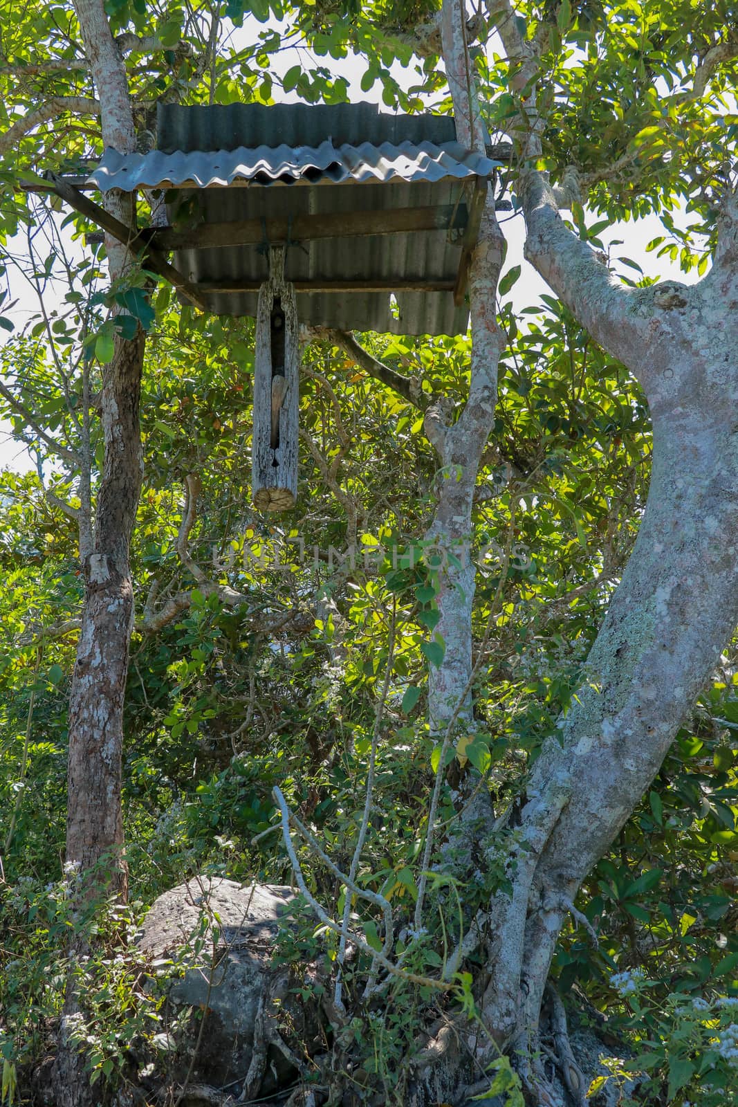 Wooden bells kulkul. A wooden bell with a mallet made from a tree trunk hung on a beam between trees on Bali Island. Balinese Hindus make bells of wood and place them near temples