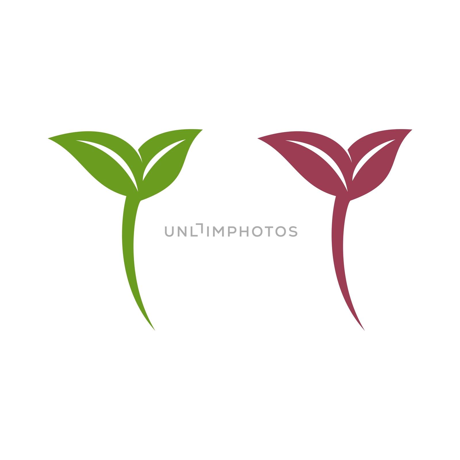 Leaf Growth Logo Template Illustration Design. Vector EPS 10.