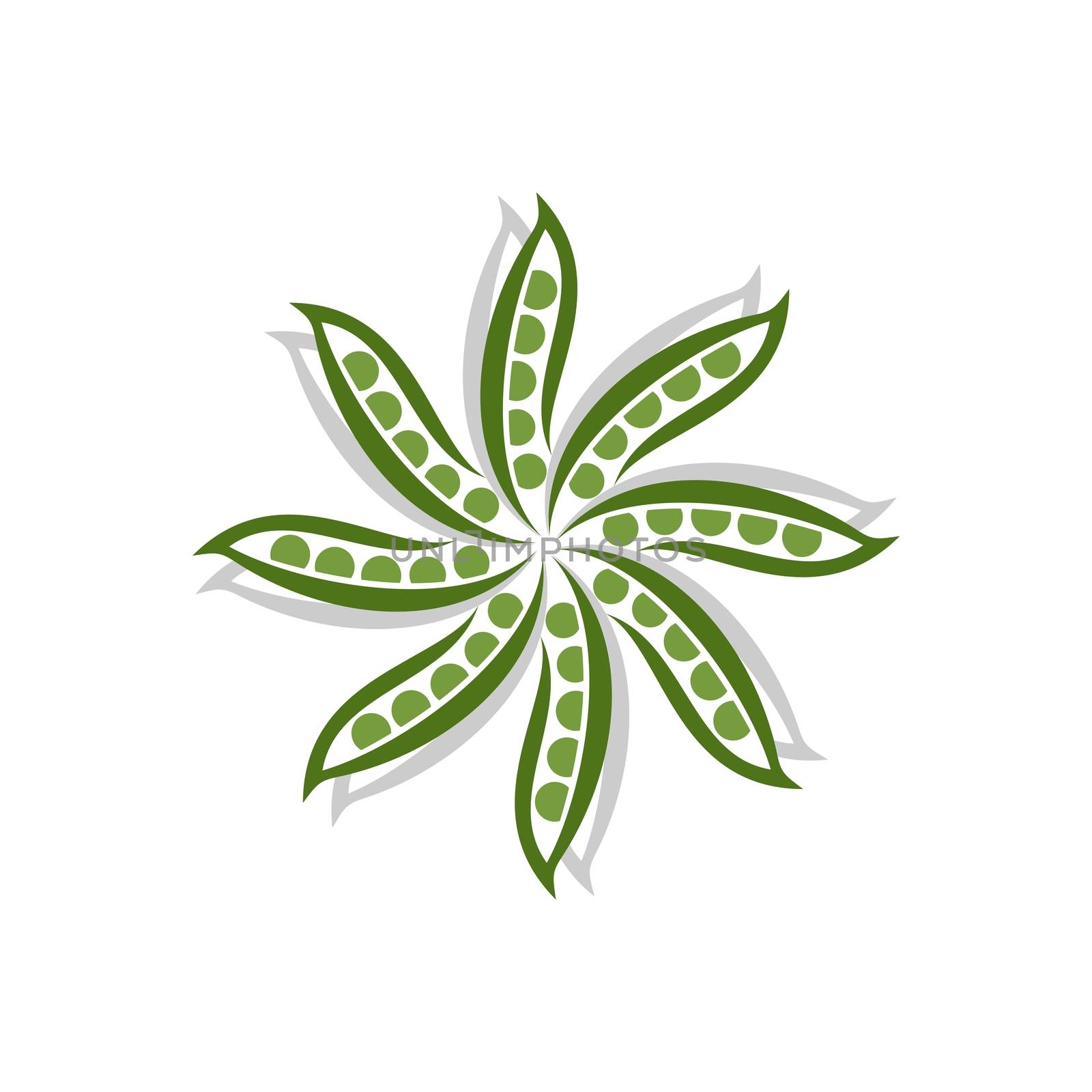 Green Pea Pod Star Logo Template Illustration Design. Vector EPS 10.