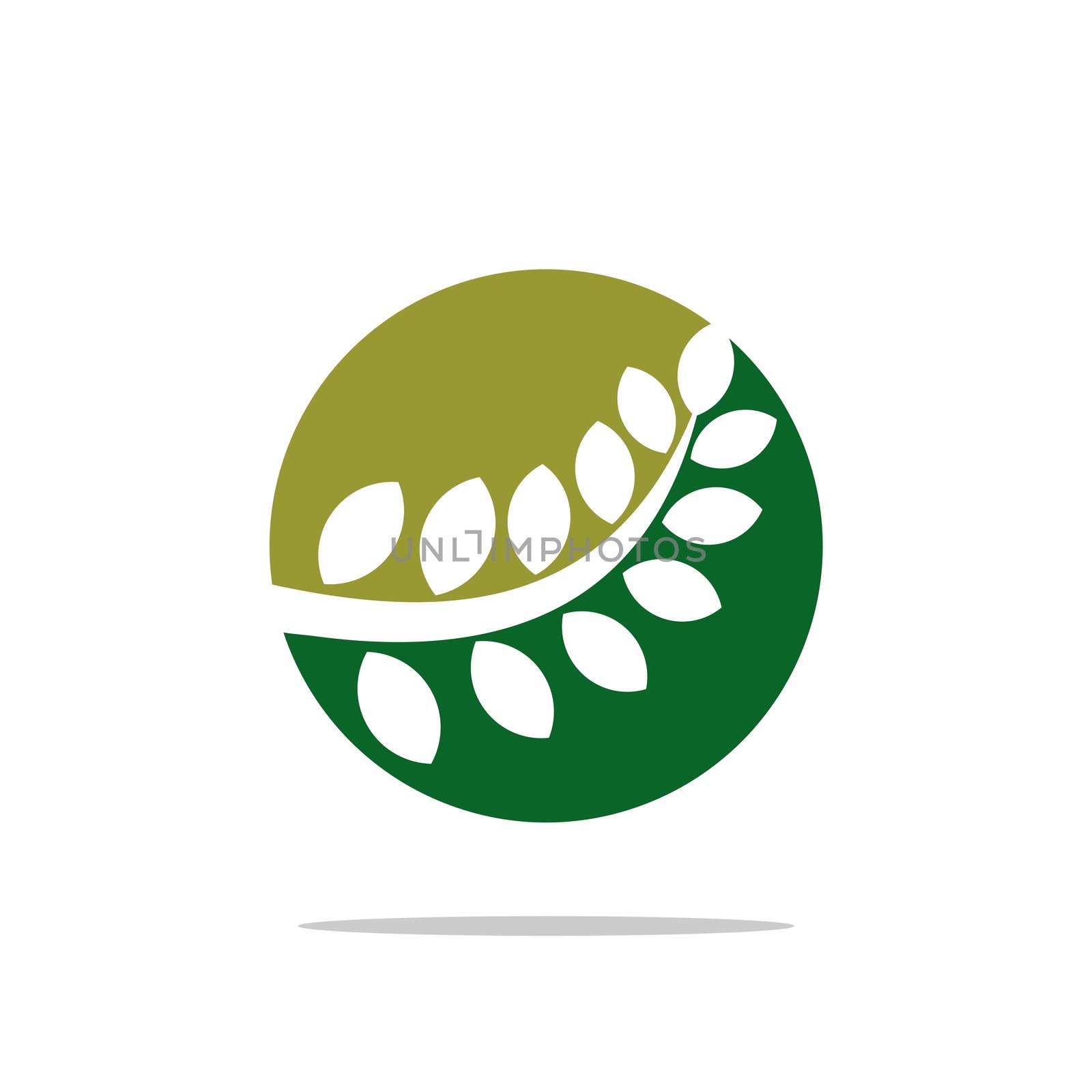 Green Leaves Circle Ornamental Logo Template Illustration Design EPS 10
