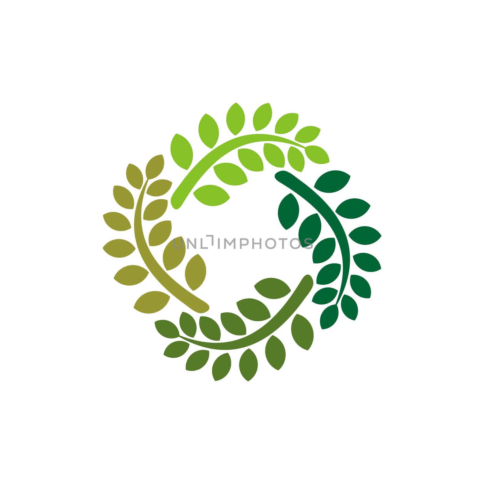 Green Leaves Circle Ornamental Logo Template illustration design EPS 10 by soponyono1